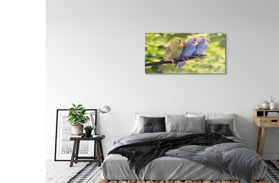 Pintura em vidro Papagaios coloridos em um galho