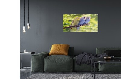 Pintura em vidro Papagaios coloridos em um galho