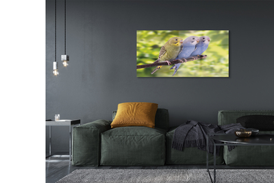 Pintura em vidro Papagaios coloridos em um galho