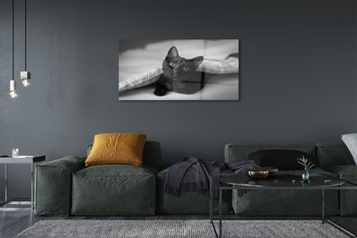 Quadro de vidro O gato debaixo das cobertas