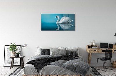 Pintura em vidro Cisne na água