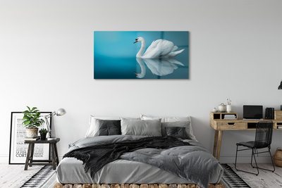 Pintura em vidro Cisne na água
