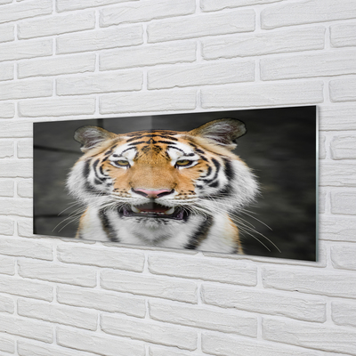 Quadro de vidro Tigre