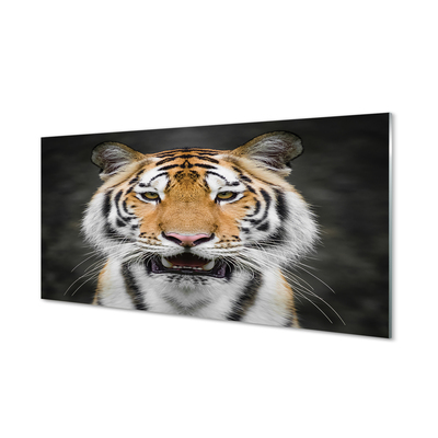 Quadro de vidro Tigre