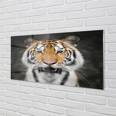 Quadro de vidro Tigre