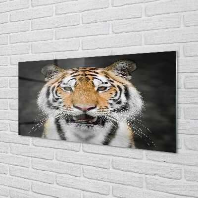 Quadro de vidro Tigre