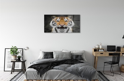 Quadro de vidro Tigre