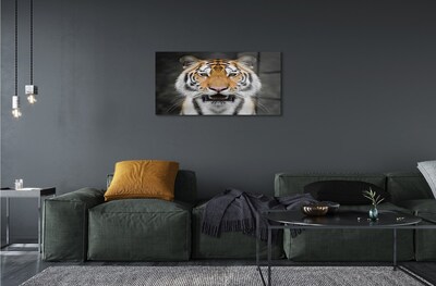 Quadro de vidro Tigre