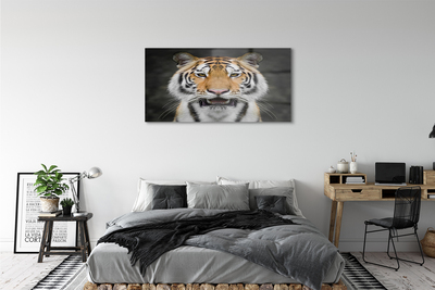 Quadro de vidro Tigre