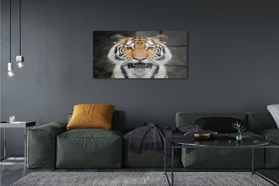 Quadro de vidro Tigre