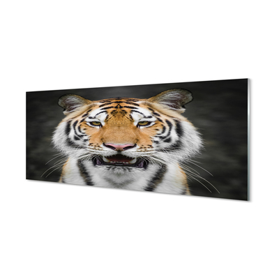 Quadro de vidro Tigre