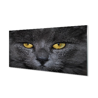 Pintura em vidro Gato preto