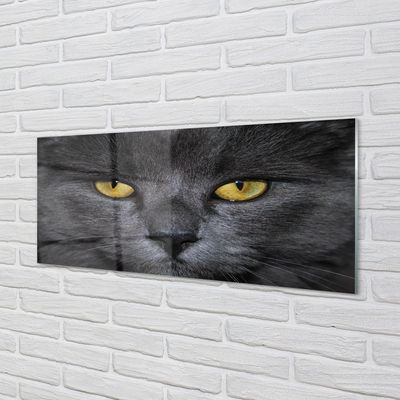 Pintura em vidro Gato preto