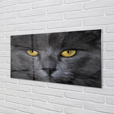 Pintura em vidro Gato preto