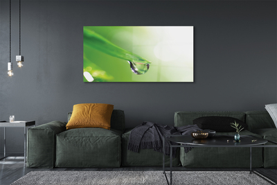 Pintura em vidro Sol de folha caída