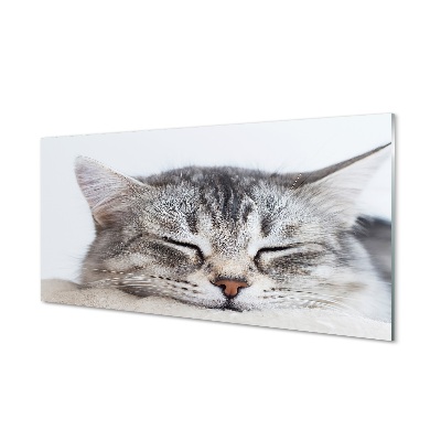 Quadro de vidro Gato dormindo