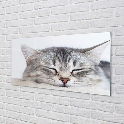 Quadro de vidro Gato dormindo