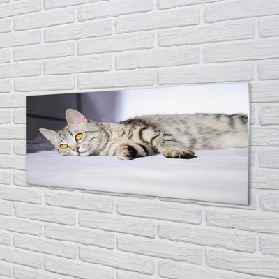 Pintura em vidro Gato deitado