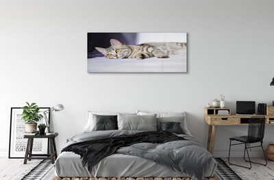 Pintura em vidro Gato deitado