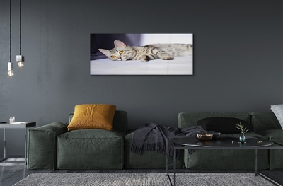 Pintura em vidro Gato deitado