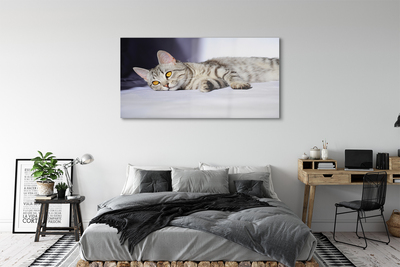 Pintura em vidro Gato deitado