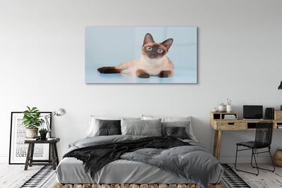 Quadro de vidro Gato deitado