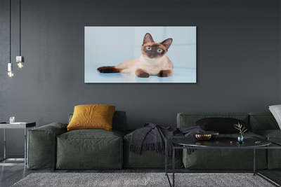 Quadro de vidro Gato deitado