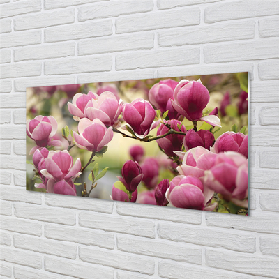 Quadro de vidro Flores de árvores