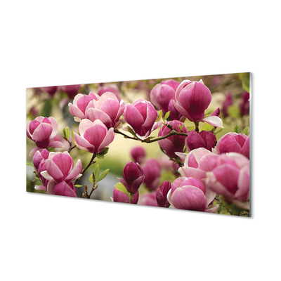 Quadro de vidro Flores de árvores