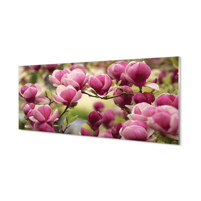 Quadro de vidro Flores de árvores