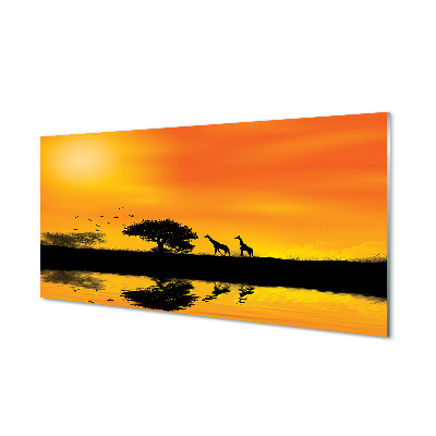 Quadro de vidro Girafas pôr do sol árvore lago