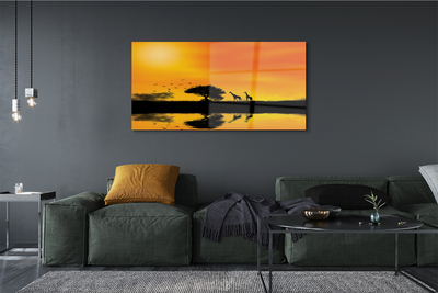 Quadro de vidro Girafas pôr do sol árvore lago
