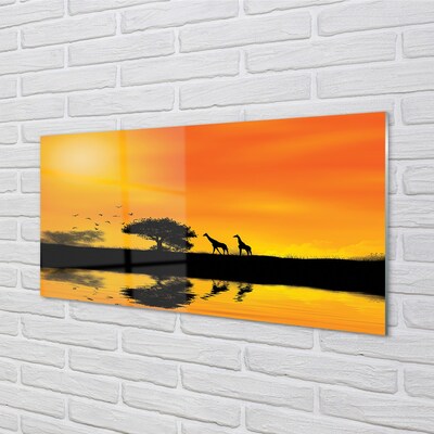 Quadro de vidro Girafas pôr do sol árvore lago