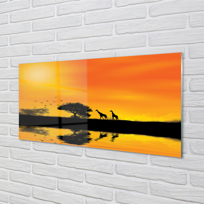 Quadro de vidro Girafas pôr do sol árvore lago
