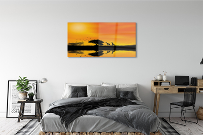 Quadro de vidro Girafas pôr do sol árvore lago