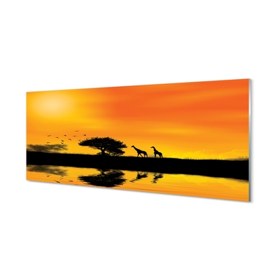 Quadro de vidro Girafas pôr do sol árvore lago