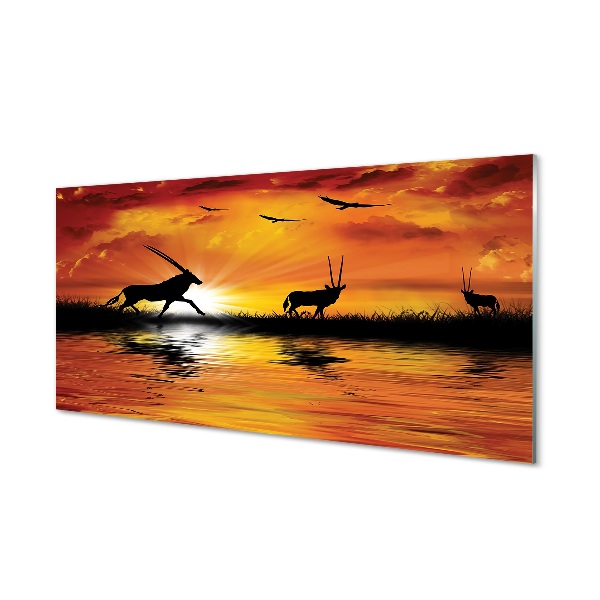 Quadro de vidro Lago dos pássaros oeste