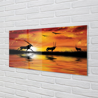 Quadro de vidro Lago dos pássaros oeste