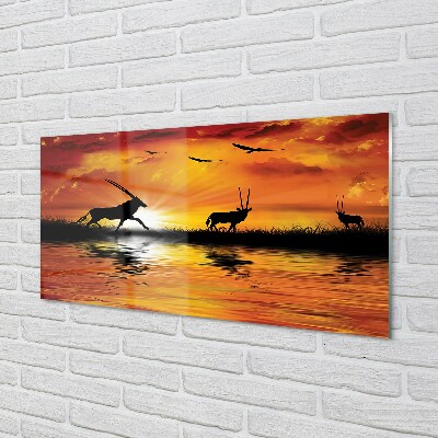 Quadro de vidro Lago dos pássaros oeste