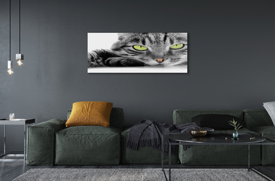 Quadro de vidro Gato cinza e preto