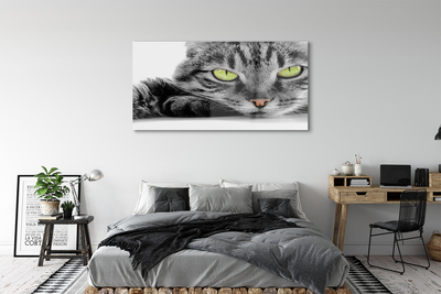 Quadro de vidro Gato cinza e preto