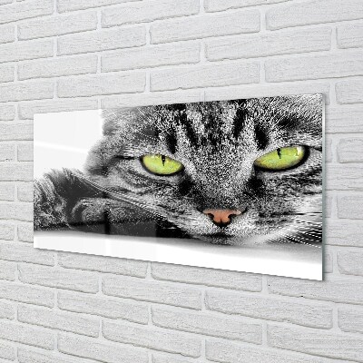 Quadro de vidro Gato cinza e preto