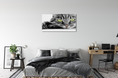 Quadro de vidro Gato cinza e preto