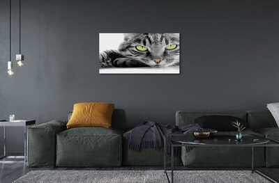 Quadro de vidro Gato cinza e preto