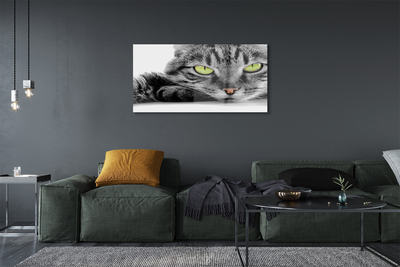 Quadro de vidro Gato cinza e preto