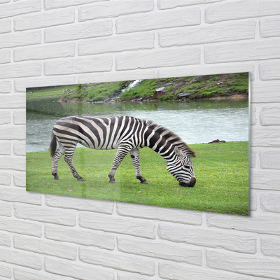 Pintura em vidro Costelas