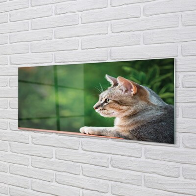 Pintura em vidro O Gato Olhando