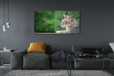 Pintura em vidro O Gato Olhando