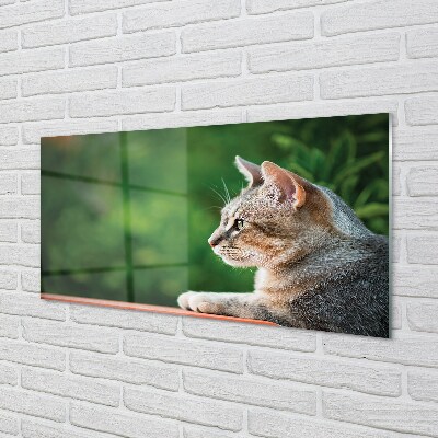 Pintura em vidro O Gato Olhando
