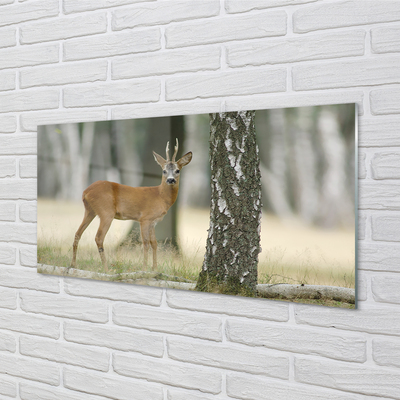 Quadro de vidro Floresta de veados
